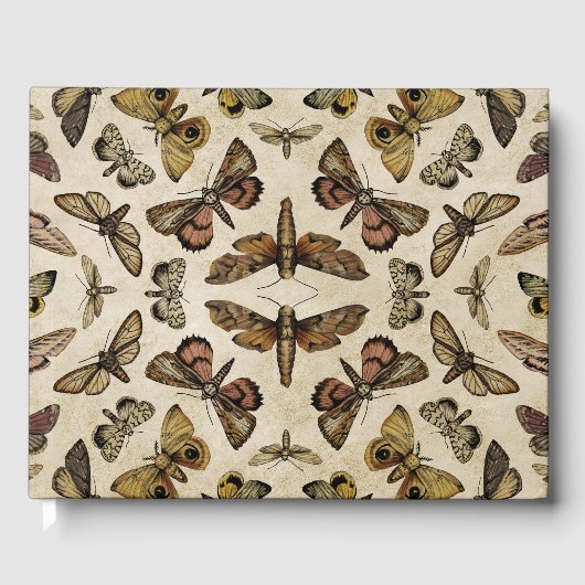 ヴィンテージ蛾 ゲストブック (正面)