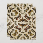 ヴィンテージ蛾 ノートカード (正面/裏面)