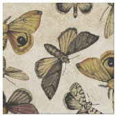 ヴィンテージ蛾 ファブリック (クローズアップ)