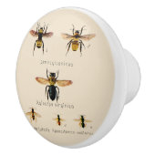 ヴィンテージ蜂の6 セラミックノブ (右)