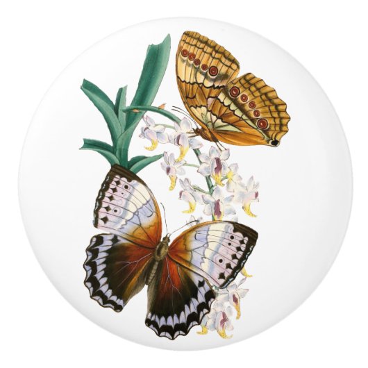 ヴィンテージ蝶とフローライラストレーションオン セラミックノブ (正面)