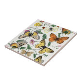 ヴィンテージ蝶と蛾  タイル (側面)