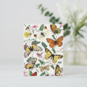 ヴィンテージ蝶と蛾 ポストカード (スタンド正面)