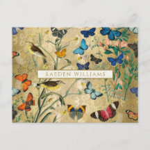 ヴィンテージ蝶と鳥はがき