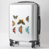 ヴィンテージ蝶のステッカーセット シール (スーツケース)