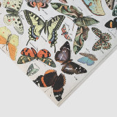 ヴィンテージ蝶の世界 薄葉紙 (詳細)