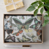 ヴィンテージ蝶の世界 薄葉紙 (ギフト)