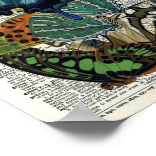 ヴィンテージ蝶の植物学#3辞書ページ ポスター (角)