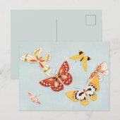 ヴィンテージ蝶はがき ポストカード (正面/裏面)