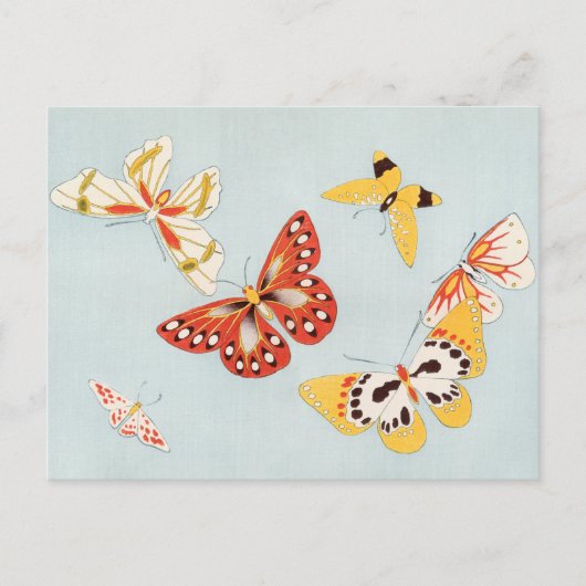 ヴィンテージ蝶はがき ポストカード (正面)
