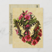 ヴィンテージ蝶はがき ポストカード (正面/裏面)