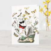 ヴィンテージ蝶イラストレーションアートワーク カード (黄色い花)