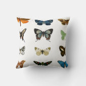 ヴィンテージ蝶イラストレーションアート装飾用クッション クッション (裏面)
