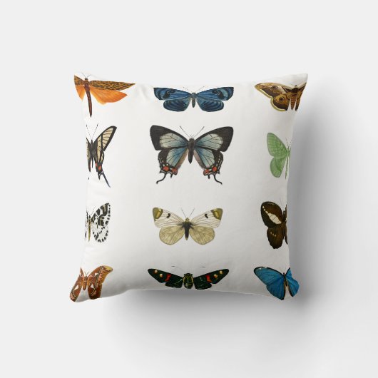 ヴィンテージ蝶イラストレーションアート装飾用クッション クッション (裏面)