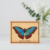 ヴィンテージ蝶イラストレーション シーズンポストカード (スタンド正面)