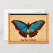 ヴィンテージ蝶イラストレーション シーズンポストカード (正面/裏面)