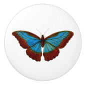 ヴィンテージ蝶イラストレーション セラミックノブ (正面)