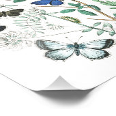 ヴィンテージ蝶イラストレーション フォトプリント            (角)