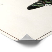 ヴィンテージ蝶イラストレーション ポスター (角)