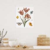 ヴィンテージ蝶イラストレーション ポスター (キッチン)