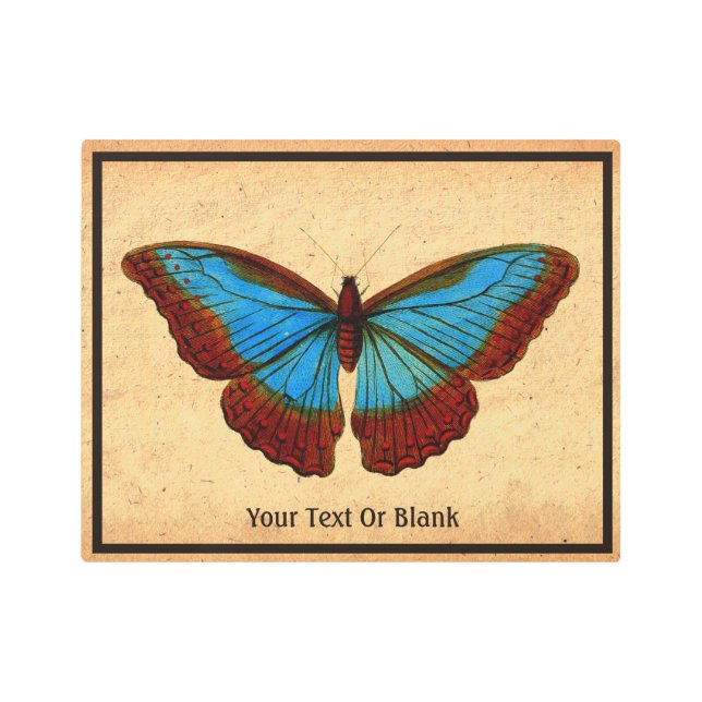 ヴィンテージ蝶イラストレーション メタルプリント (正面)