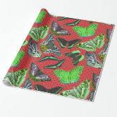 ヴィンテージ蝶イラストレーション ラッピングペーパー (アンロールド)