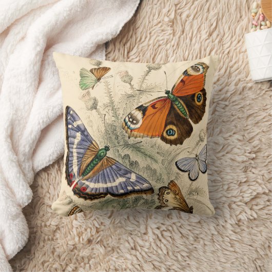 ヴィンテージ蝶オリバーゴールドスミス クッション (ブランケット)