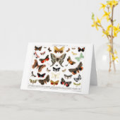 ヴィンテージ蝶オールドブックイラストレーションアートワーク カード (黄色い花)