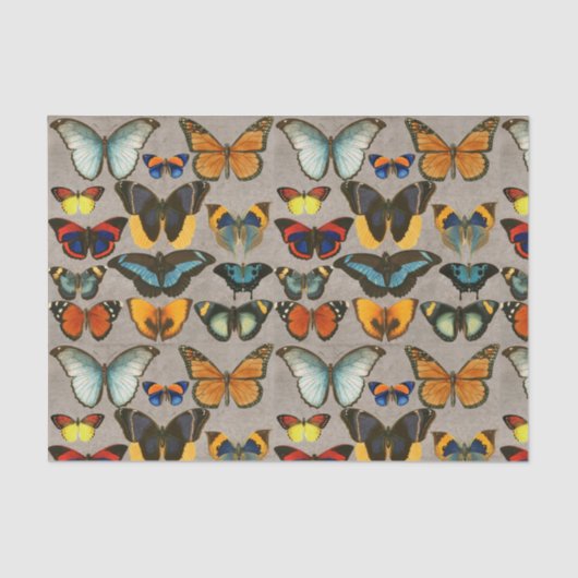 ヴィンテージ蝶カラフル昆虫学の分離 薄葉紙 (正面)