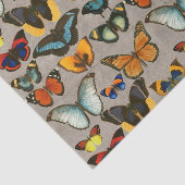 ヴィンテージ蝶カラフル昆虫学の分離 薄葉紙 (詳細)