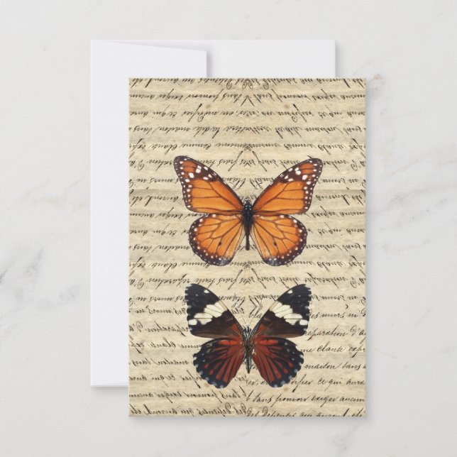 ヴィンテージ蝶コレクション (正面)