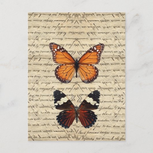 ヴィンテージ蝶コレクション ポストカード (正面)