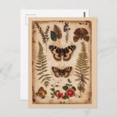 ヴィンテージ蝶シダ自然ジャーナル ポストカード (正面/裏面)