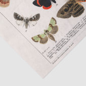 ヴィンテージ蝶ティッシュまたはデコページ紙 薄葉紙 (詳細)
