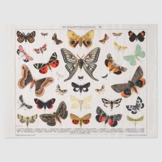 ヴィンテージ蝶ティッシュまたはデコページ紙 薄葉紙 (正面)