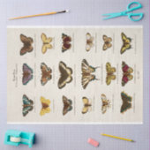 ヴィンテージ蝶デクページティッシュペーパー 薄葉紙 (クラフト)