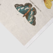 ヴィンテージ蝶デクページティッシュペーパー 薄葉紙 (詳細)