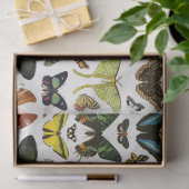 ヴィンテージ蝶パターンのコラージュのデコページ 薄葉紙 (ギフト)