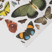 ヴィンテージ蝶パターンのコラージュのデコページ 薄葉紙 (詳細)