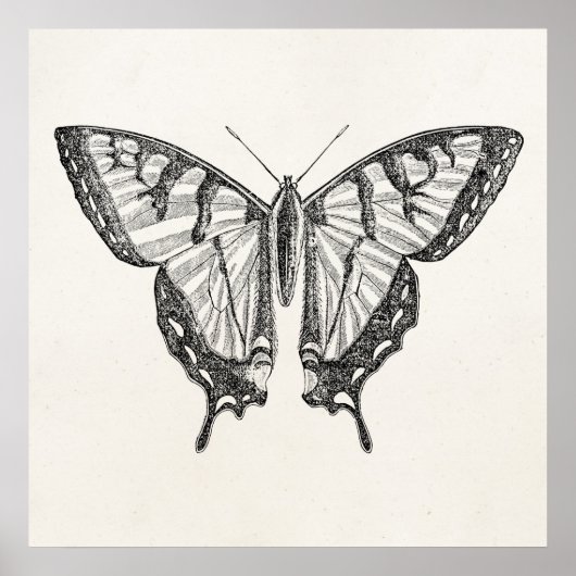 ヴィンテージ蝶パーソナライズされた蝶の昆虫 ポスター (正面)