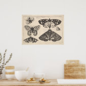 ヴィンテージ蝶ビー昆虫芸術プリント(65) ポスター (キッチン)