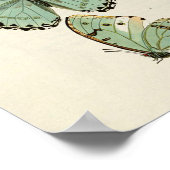 ヴィンテージ蝶ポスター ポスター (角)