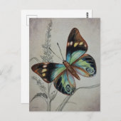 ヴィンテージ蝶第1号水彩画 ポストカード (正面/裏面)