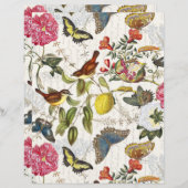 ヴィンテージ蝶紙シート (正面/裏面)