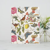 ヴィンテージ蝶紙シート (スタンド正面)