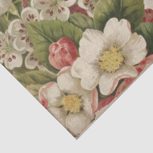 ヴィンテージ蝶花模様とエフエマデクページ 薄葉紙 (詳細)