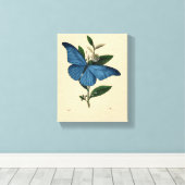 ヴィンテージ蝶 キャンバスプリント (インサイチュ (ウッドフロア))