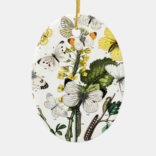 ヴィンテージ蝶 セラミックオーナメント (正面)