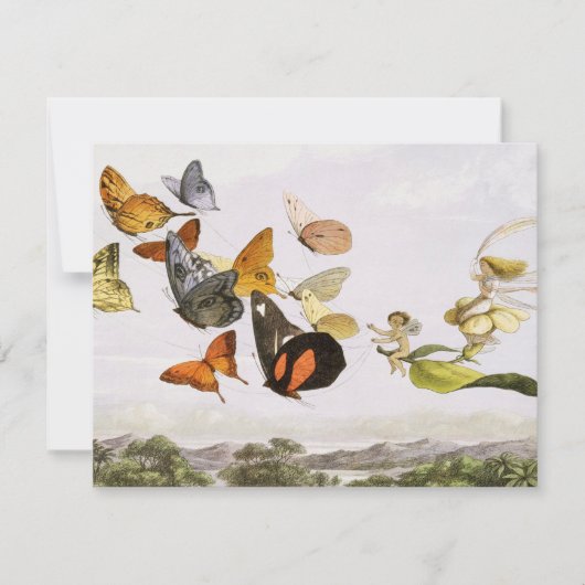 ヴィンテージ蝶&フェアリーオールドイラストレーションアート (正面)