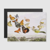 ヴィンテージ蝶&フェアリーオールドイラストレーションアート (正面/裏面)